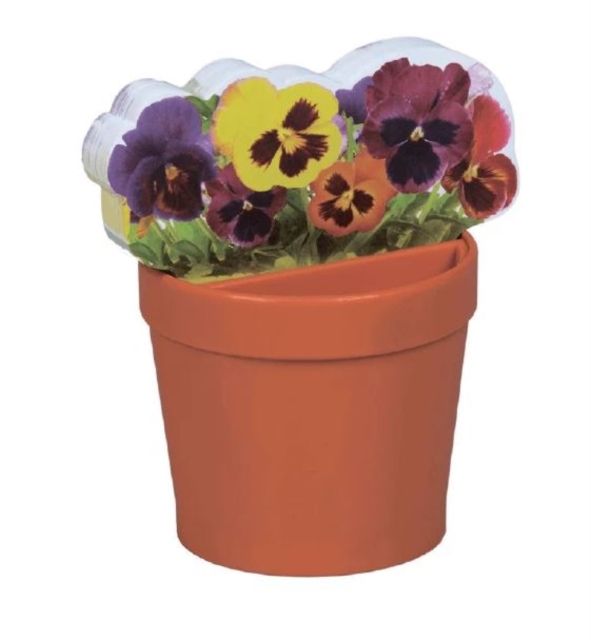 Deskplant Flowers 5060213016392 (General merchandise)