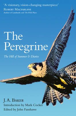The Peregrine 9780008138318 (Paperback)