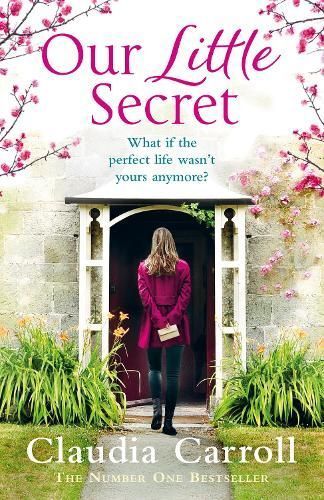 Our Little Secret By Claudia Carroll 9780008140762 (Paperback)