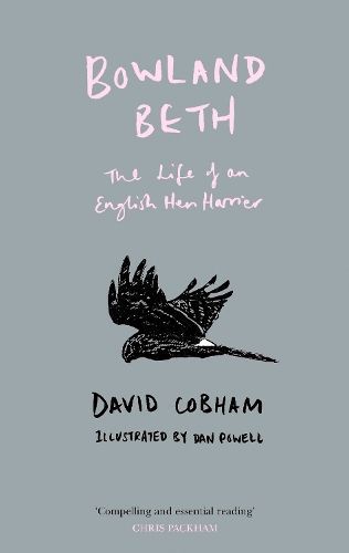 Bowland Beth By David Cobham (author), Dan Powell (illustrator)