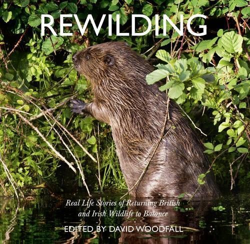 Rewilding By David Woodfall 9780008300470 (Paperback)