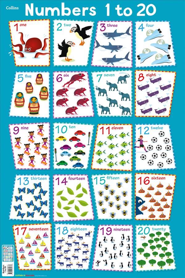 Numbers 1 - 20 By Collins Kids (author), Steve Evans (illustrator)