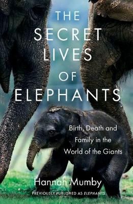 The Secret Lives of Elephants By Hannah Mumby 9780008331719