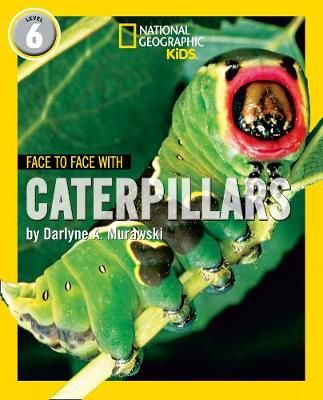 Face to Face With Caterpillars By Darlyne Murawski 9780008358129