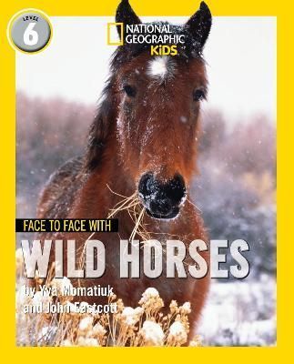 Face to Face With Wild Horses. Level 6 By Yva Momatiuk, John Eastcott