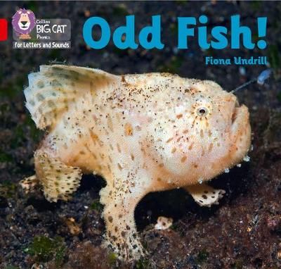 Odd Fish! By Fiona Undrill 9780008410223 (Paperback)