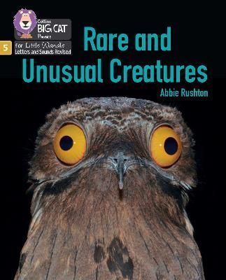 Rare and Unusual Creatures 9780008539078 (Paperback)