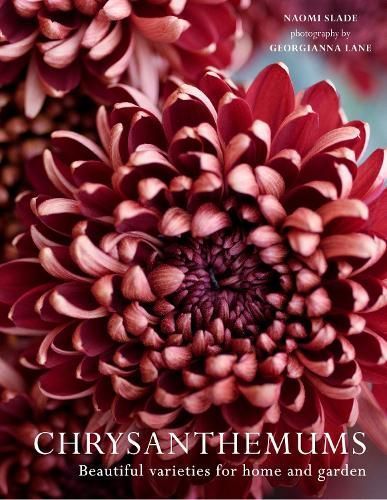 Chrysanthemums By Naomi Slade (author), Georgianna Lane (illustrator)