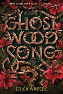 Ghost Wood Song By Erica Waters 9780062894236 (Paperback)