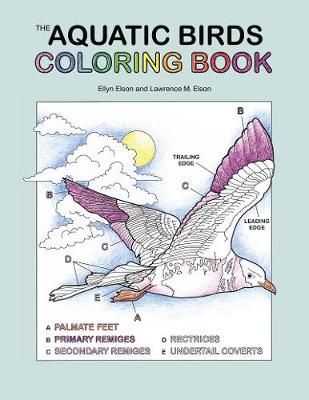 The Aquatic Birds Coloring Book By Coloring Concepts Inc. (Paperback)