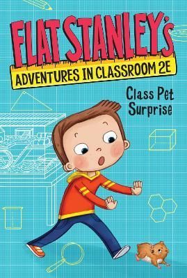 Flat Stanley Adventures in Classroom 2E 9780063094987 (Hardback)