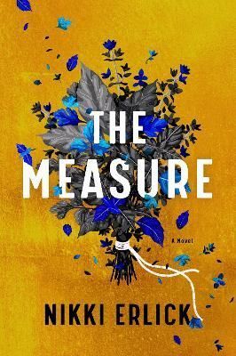 The Measure By Nikki Erlick 9780063204201 (Hardback)