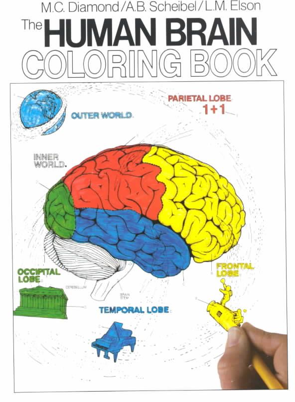 The Human Brain Coloring Book 9780064603065 (Paperback)