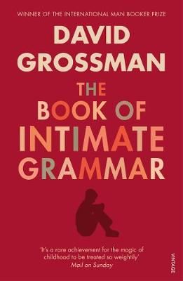 The Book of Intimate Grammar By David Grossman 9780099552321