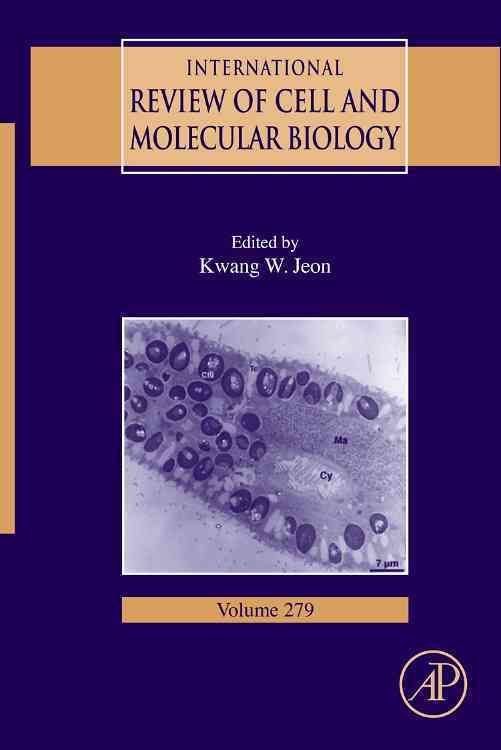 International Review of Cell and Molecular Biology By Jeon, Kwang W.