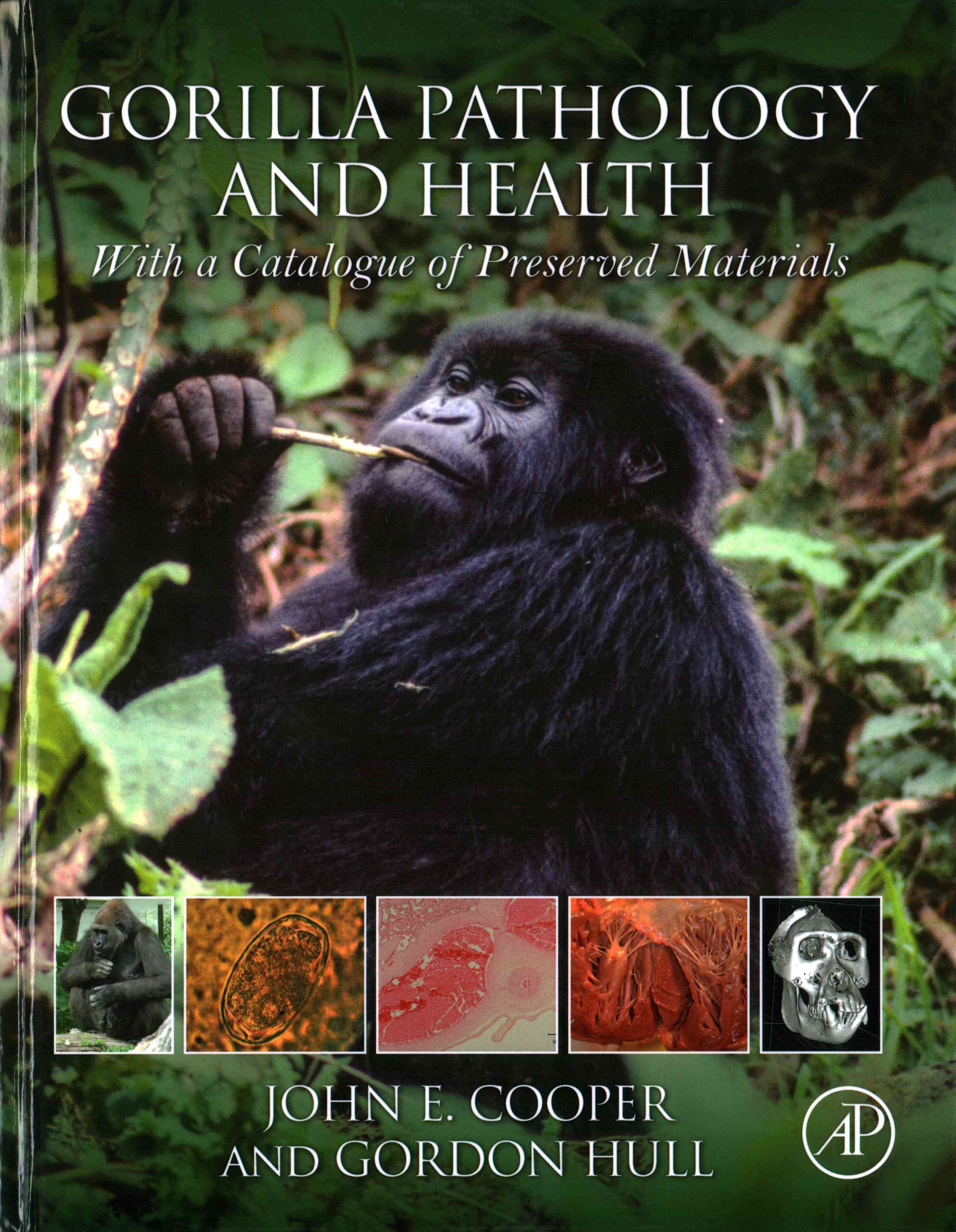 Gorilla Pathology and Health By J. E. Cooper, Gordon Hull (Hardback)