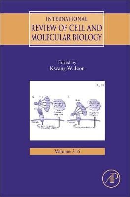 International Review of Cell and Molecular Biology By Jeon, Kwang