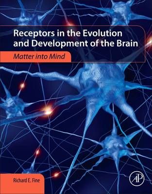 Receptors in the Evolution and Development of the Brain 9780128110126