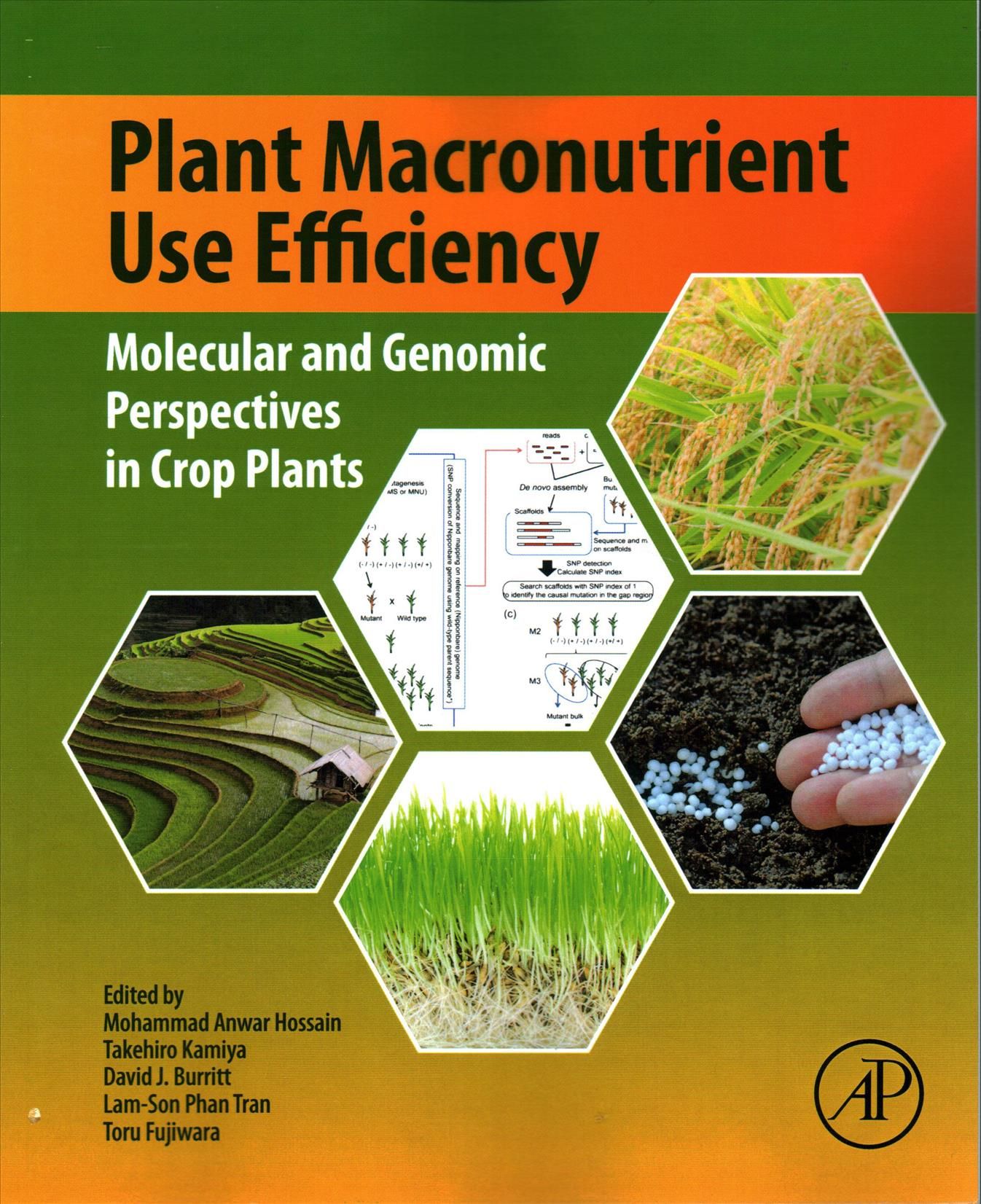 Plant Macronutrient Use Efficiency 9780128113080 (Paperback)