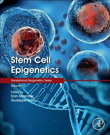 Stem Cell Epigenetics 9780128140857 (Hardback)