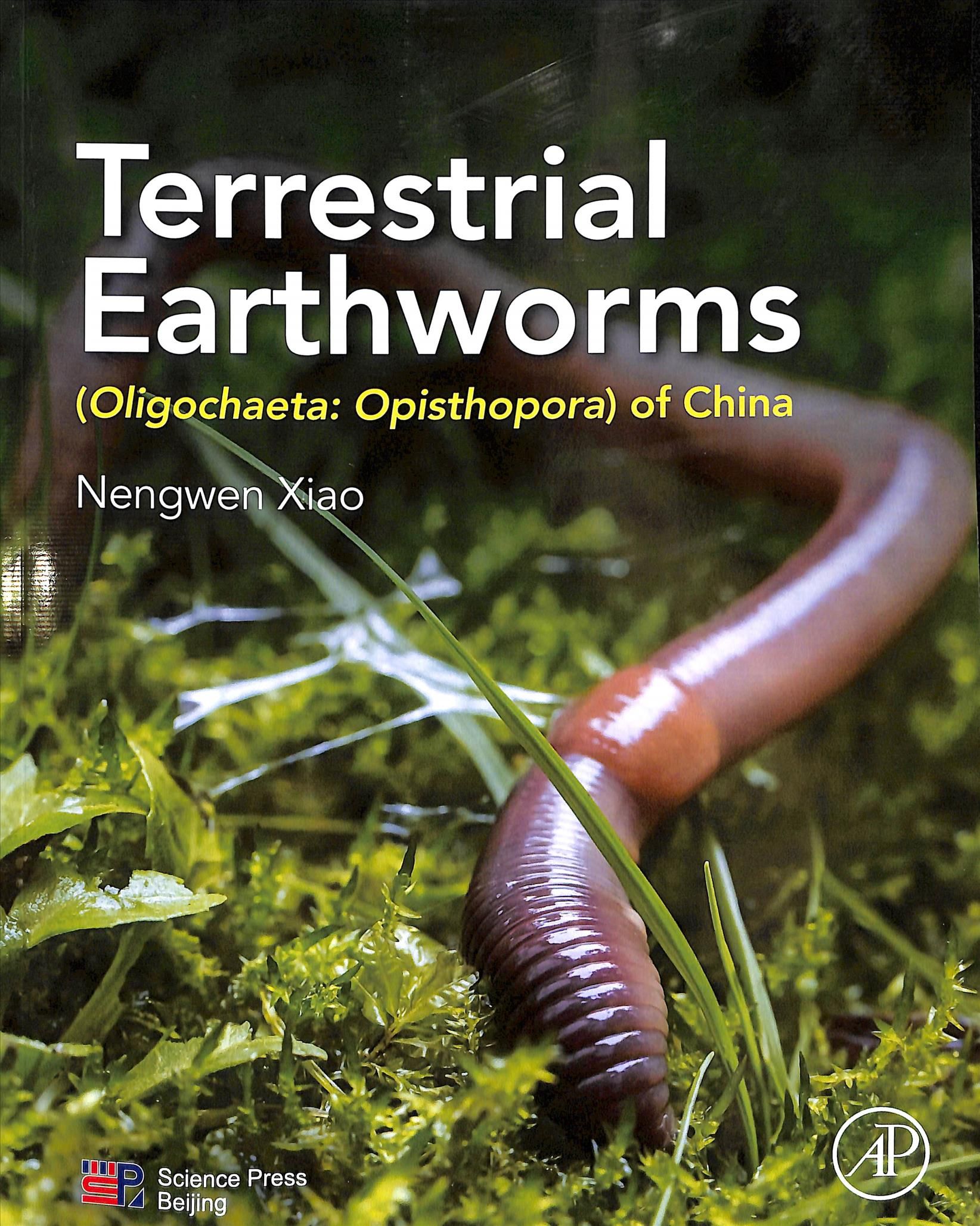 Terrestrial Earthworms (Oligochaeta: Opisthopora) of China (Paperback)