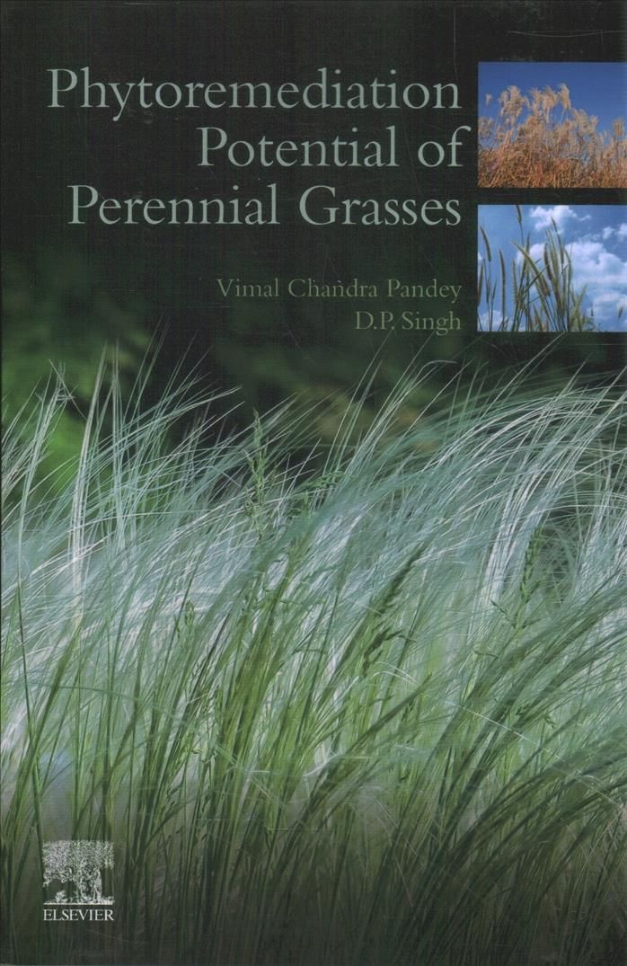 Phytoremediation Potential of Perennial Grasses 9780128177327