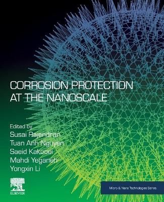 Corrosion Protection at the Nanoscale 9780128193594 (Paperback)