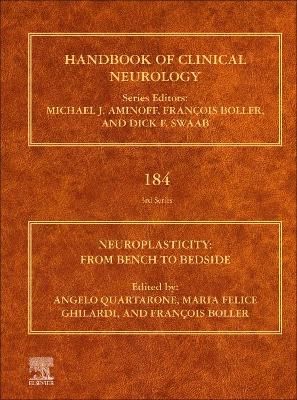 Neuroplasticity 9780128194102 (Hardback)