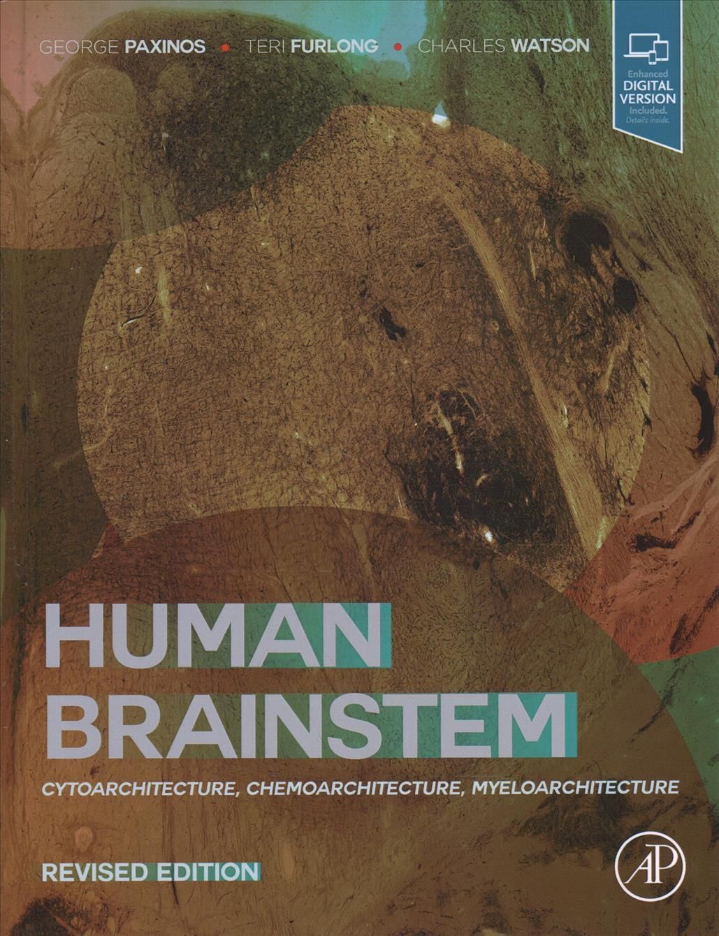 Human Brainstem By George Paxinos 9780128216071 (Hardback)
