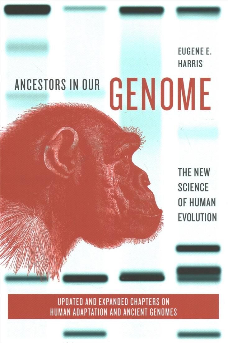 Ancestors in Our Genome By Eugene E. Harris 9780190941918 (Paperback)