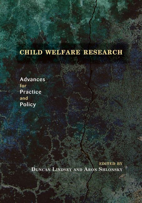 Child Welfare Research By Duncan Lindsey, Aron Shlonsky 9780195304961