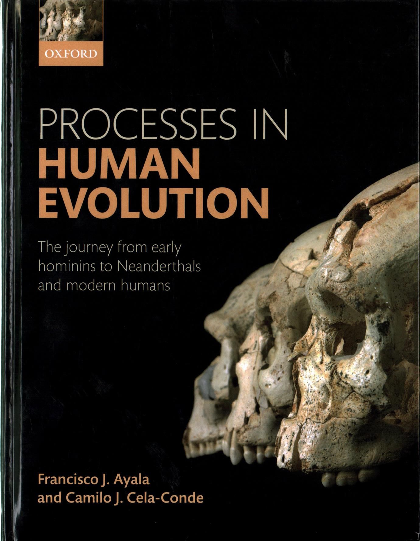 Processes in Human Evolution 9780198739906 (Hardback)