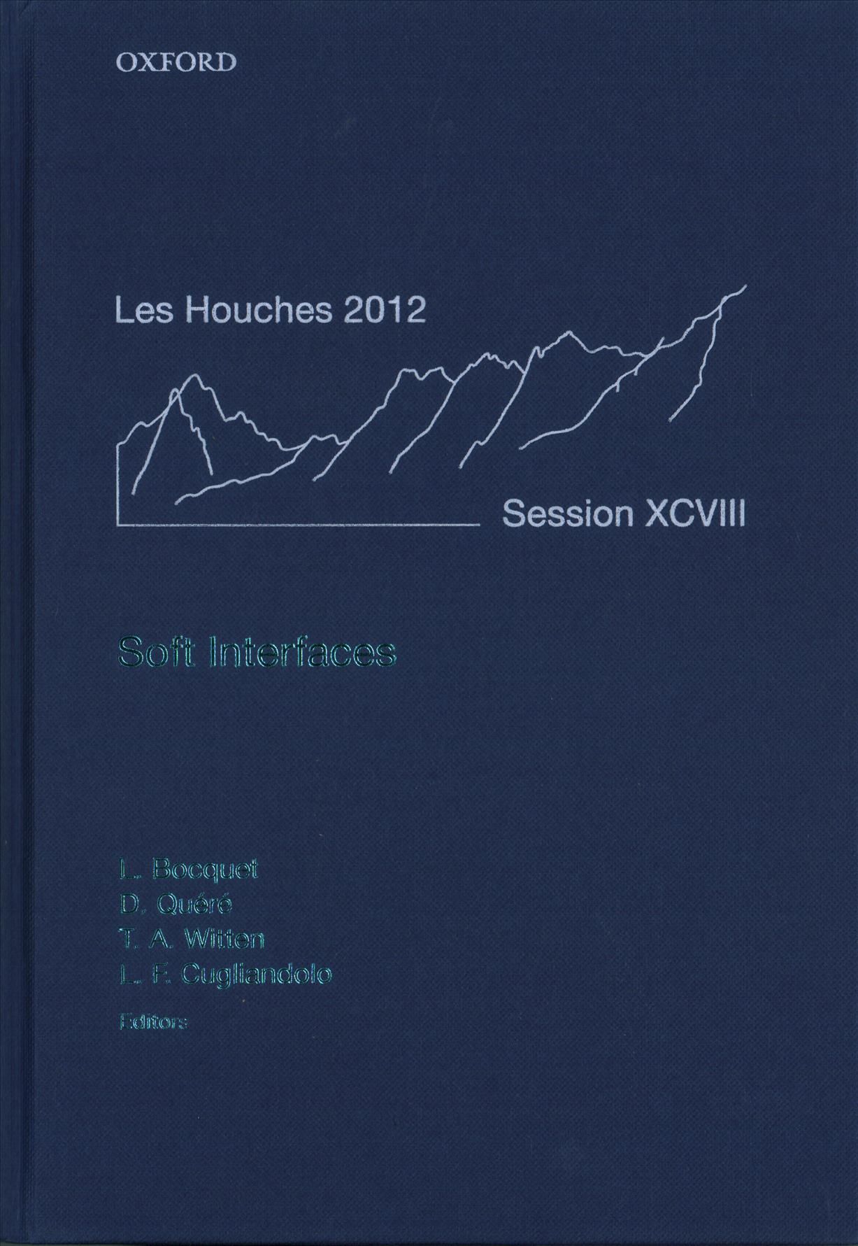 Soft Interfaces 9780198789352 (Hardback)