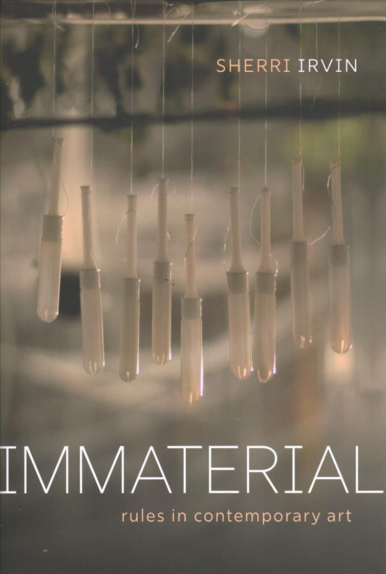 Immaterial By Sherri Irvin 9780199688210 (Hardback)