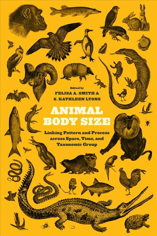 Animal Body Size By Felisa A. Smith, S. Kathleen Lyons 9780226012148