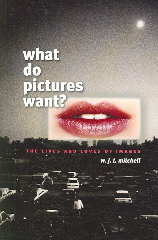 What Do Pictures Want? ? The Lives and Loves of Images 9780226532486
