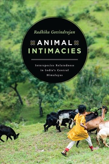 Animal Intimacies By Radhika Govindrajan 9780226559841 (Hardback)