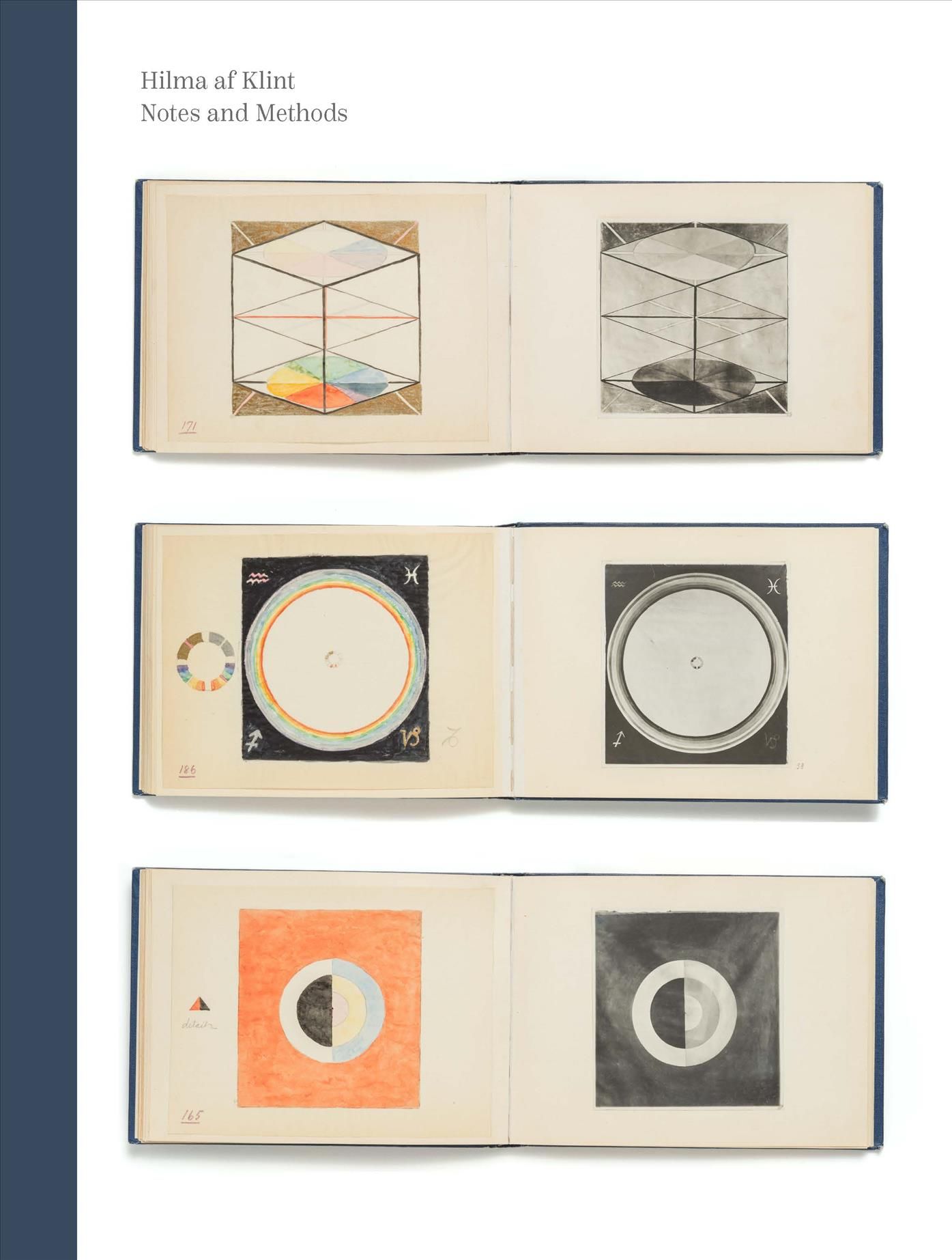 Hilma Af Klint 9780226591933 (Hardback)