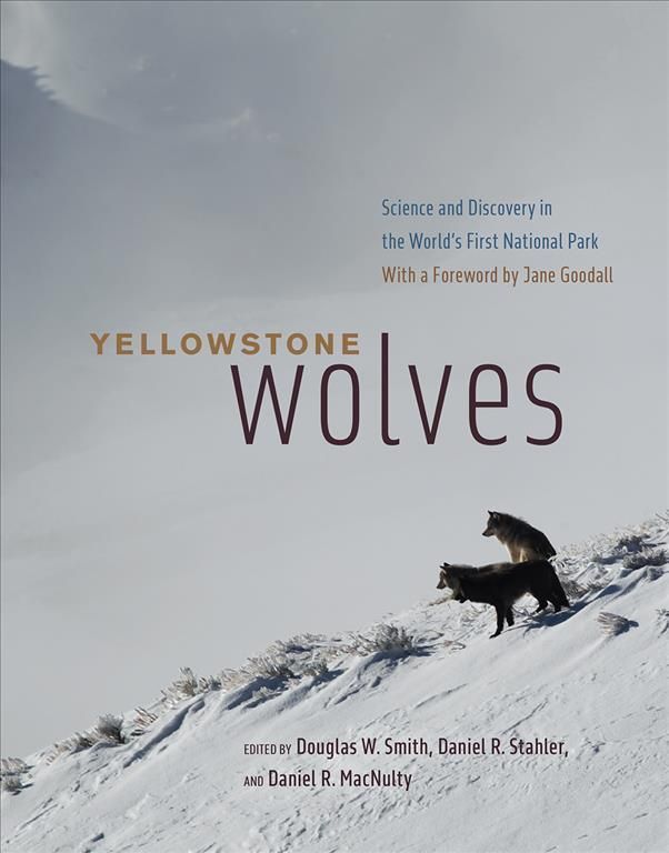 Yellowstone Wolves 9780226728346 (Hardback)