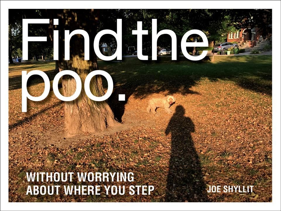 Find the Poo By Joe Shyllit 9780228101802 (Hardback)