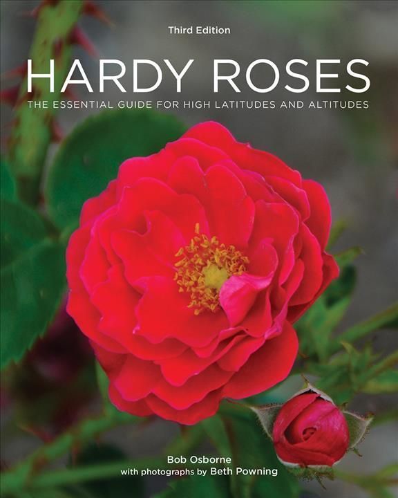 Hardy Roses 9780228102434 (Paperback)