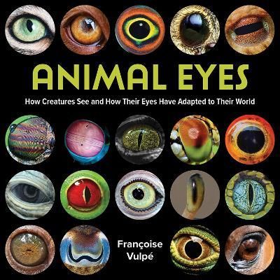 ANIMAL EYES (HB) By Francoise Vulpe 9780228104216 (Hardback)