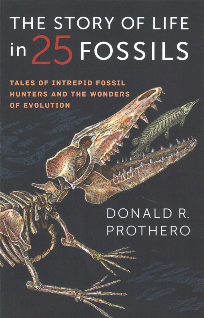 The Story of Life in 25 Fossils By Donald R. Prothero 9780231171915