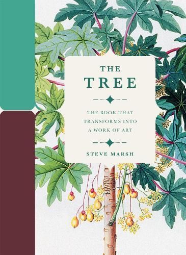 The Tree By Paperscapes, Steve Marsh 9780233005614 (Hardback)