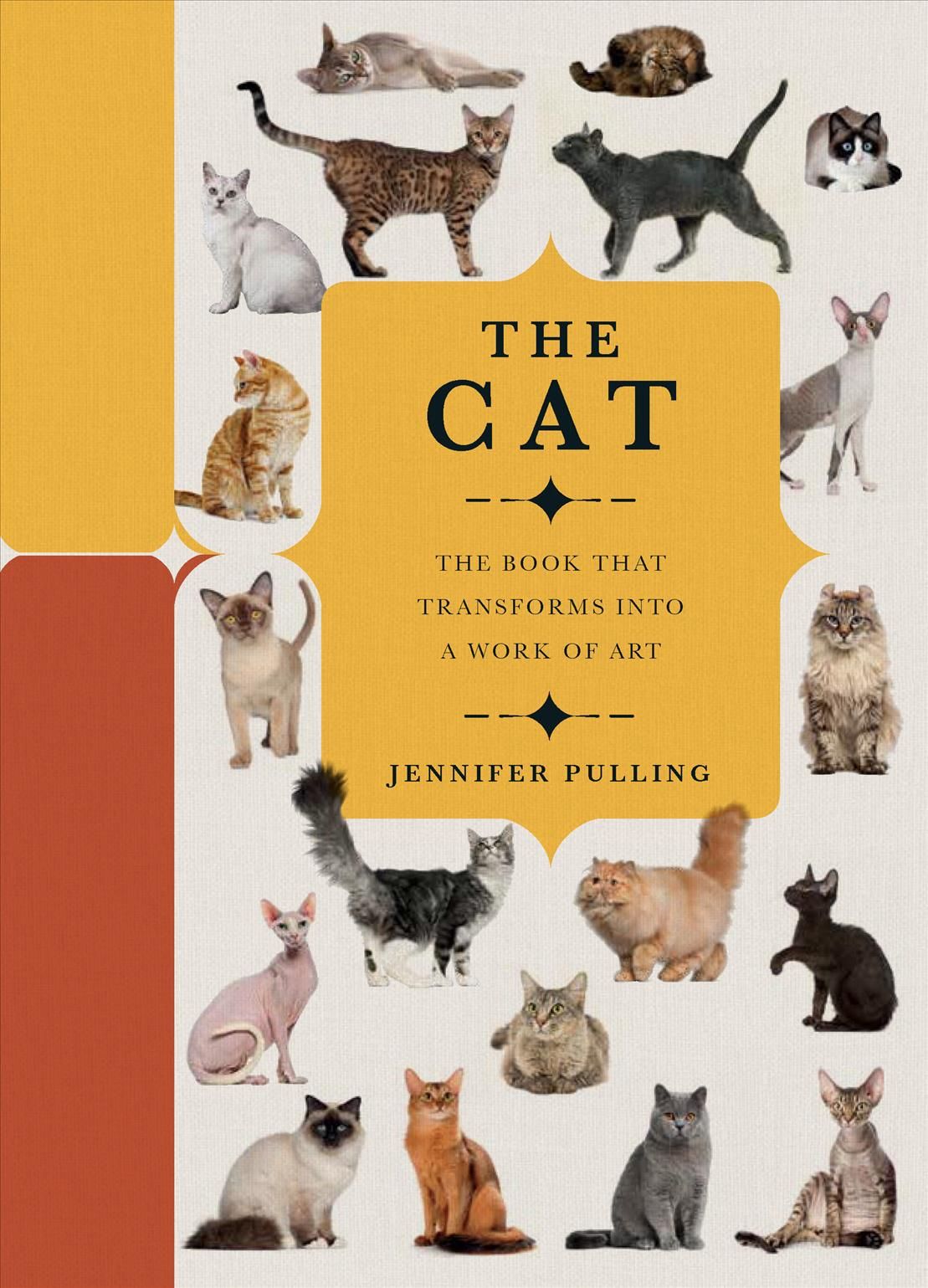 The Cat By Jennifer Pulling 9780233005829 (Hardback)