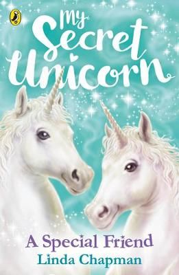 A Special Friend By Linda Chapman (author), Biz Hull (illustrator)