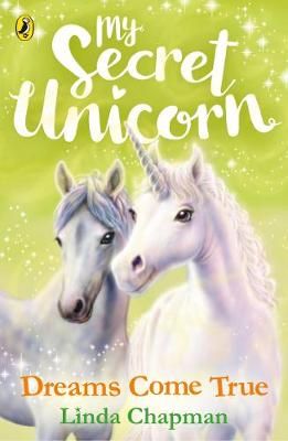 Dreams Come True By Linda Chapman (author), Biz Hull (illustrator)