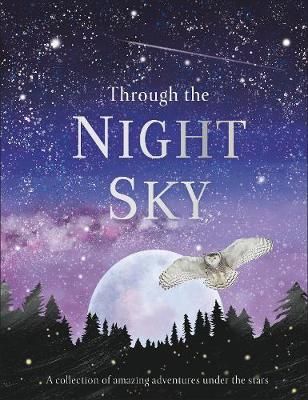 Through the Night Sky 9780241355459 (Hardback)