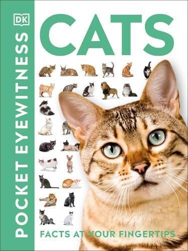 Cats By Andrea Mills 9780241413012 (Paperback)