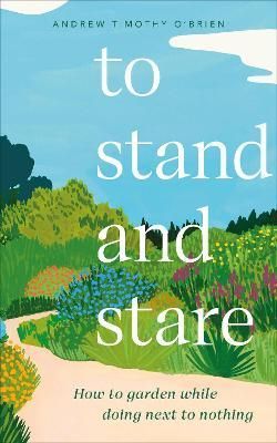 To Stand and Stare By Andrew Timothy O'Brien 9780241544013 (Hardback)